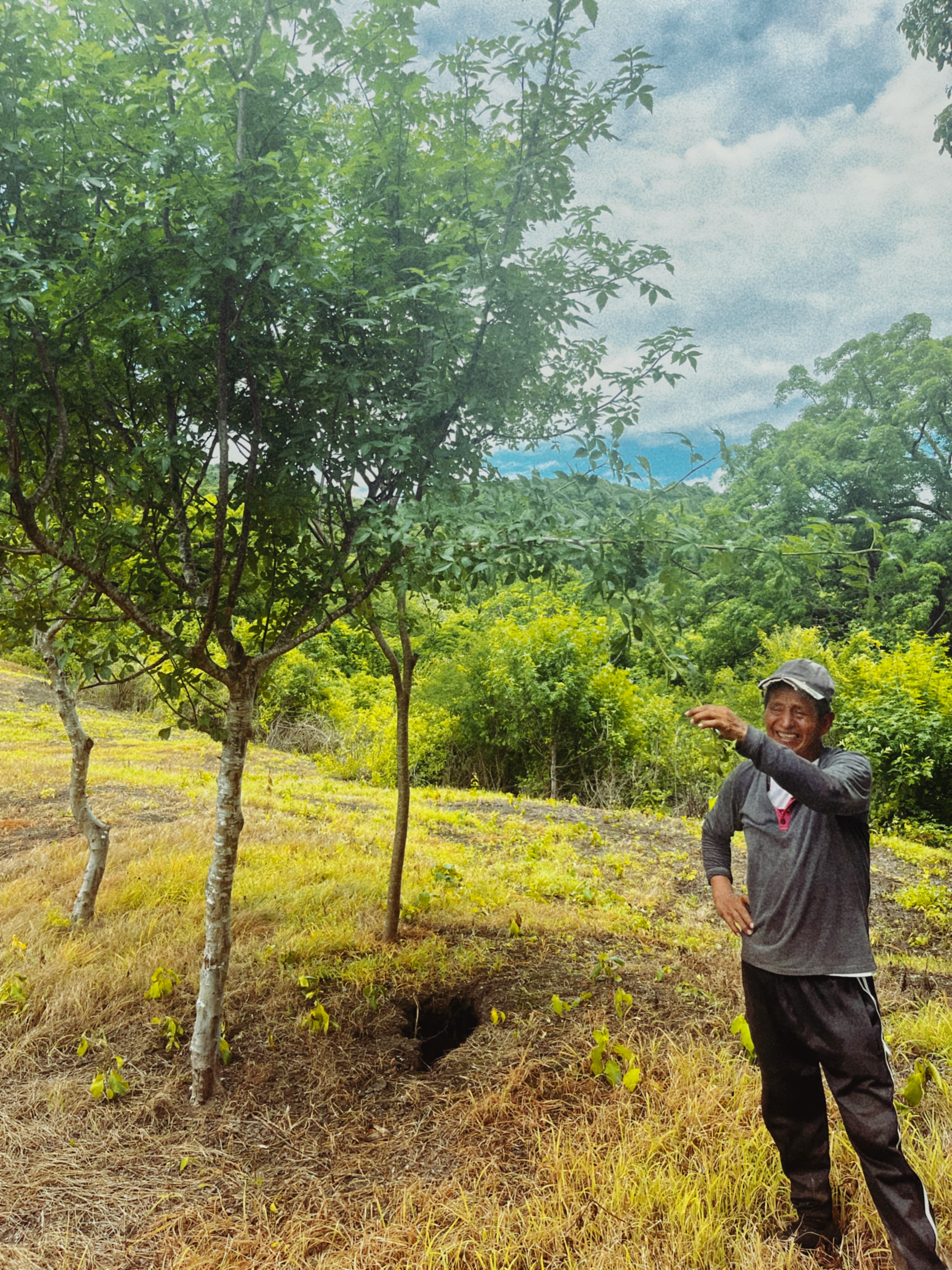 Pěstování Palo Santo v Ekvádoru